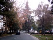 Avenida de Malaga en serraniaderonda.com